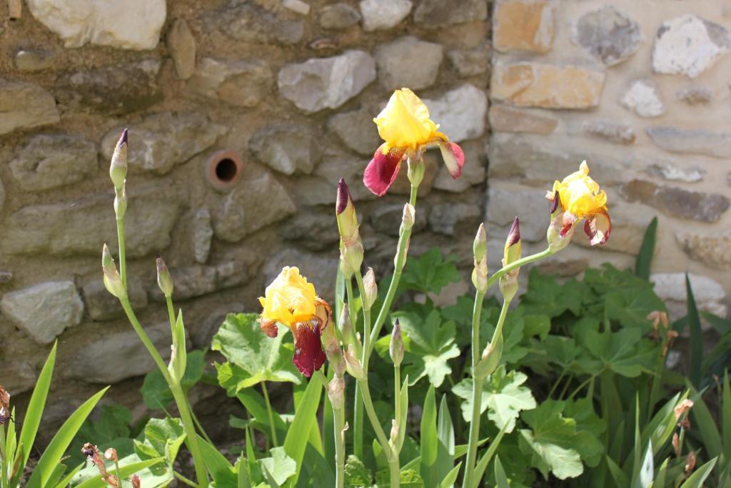Amour Provence Séguret Buitenkant foto
